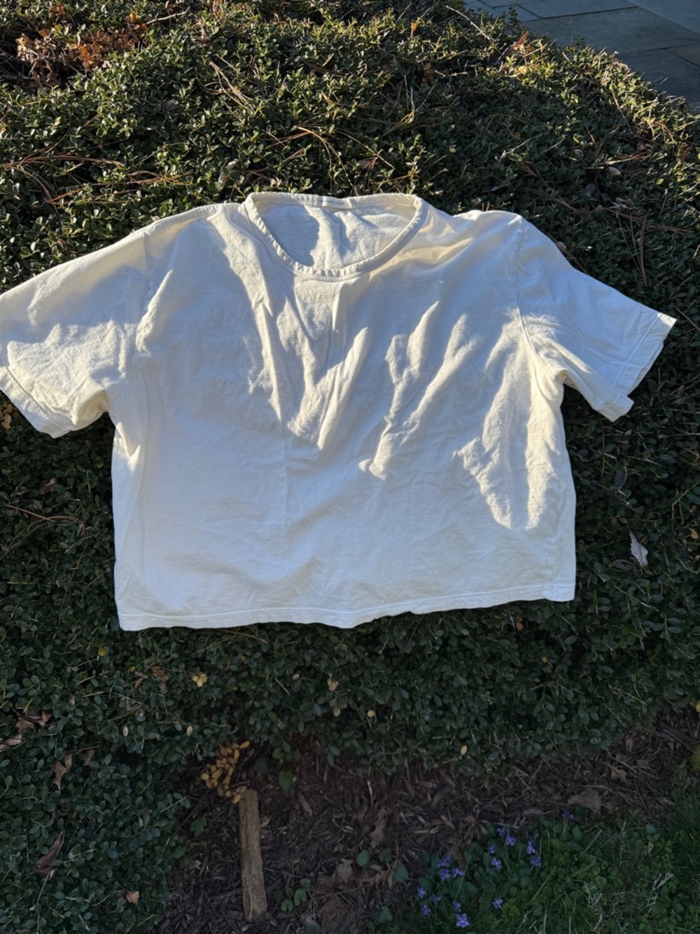 Industry of all nations - Women's Short Sleeve Tee - Cropped